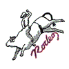 RODEO (BULLRIDER)