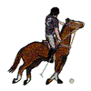 POLO PLAYER