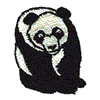 PANDA BEAR