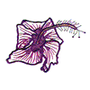 FLOWER #001