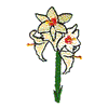 WHITE LILY