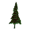 PINE TREE