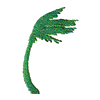 WINDY PALM TREE