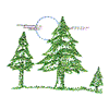 PINE TREE SCENE