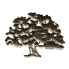 OAK TREE