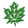 MAPLE LEAF