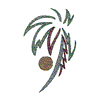 PALM TREE