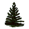 PINE TREE