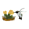 HUMMINGBIRD WITH CACTUS