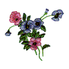 PANSIES