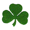 SHAMROCK