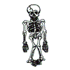 SKELETON