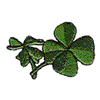 SHAMROCKS