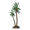 PALM TREES