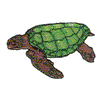 SEA TURTLE