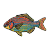 STRIPED SEA PERCH