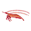 SHRIMP