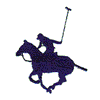 POLO PLAYER