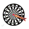 DARTBOARD