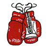 BOXING GLOVES