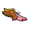 TRACK SHOE W/WINGS