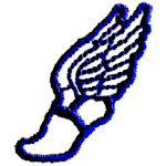 TRACK SHOE W/WINGS