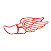 TRACK SHOE W/WINGS