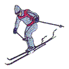 SNOW SKIER