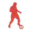 SOCCER PLAYER