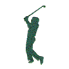 GOLFER