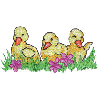 DUCKS