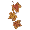 AUTUMN LEAVES