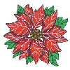 POINSETTIA