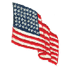 USA FLAG