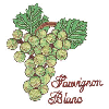 SAUVIGNON BLANC