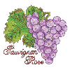 SAUVIGNON ROSE