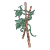 VINES AROUND STICKS