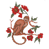 MONKEY ON A BRANCH