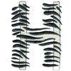 ZEBRA ALPHABET H