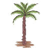 PALM TREE