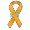 USAF RIBBON