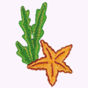 STARFISH