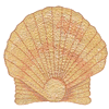 SEASHELL