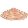 SEASHELL