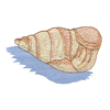 SEASHELL