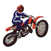 MOTOR CROSS RIDER