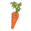 CARROTS