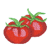 TOMATOES