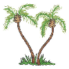 PALM TREES