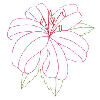 FLOWER OUTLINE